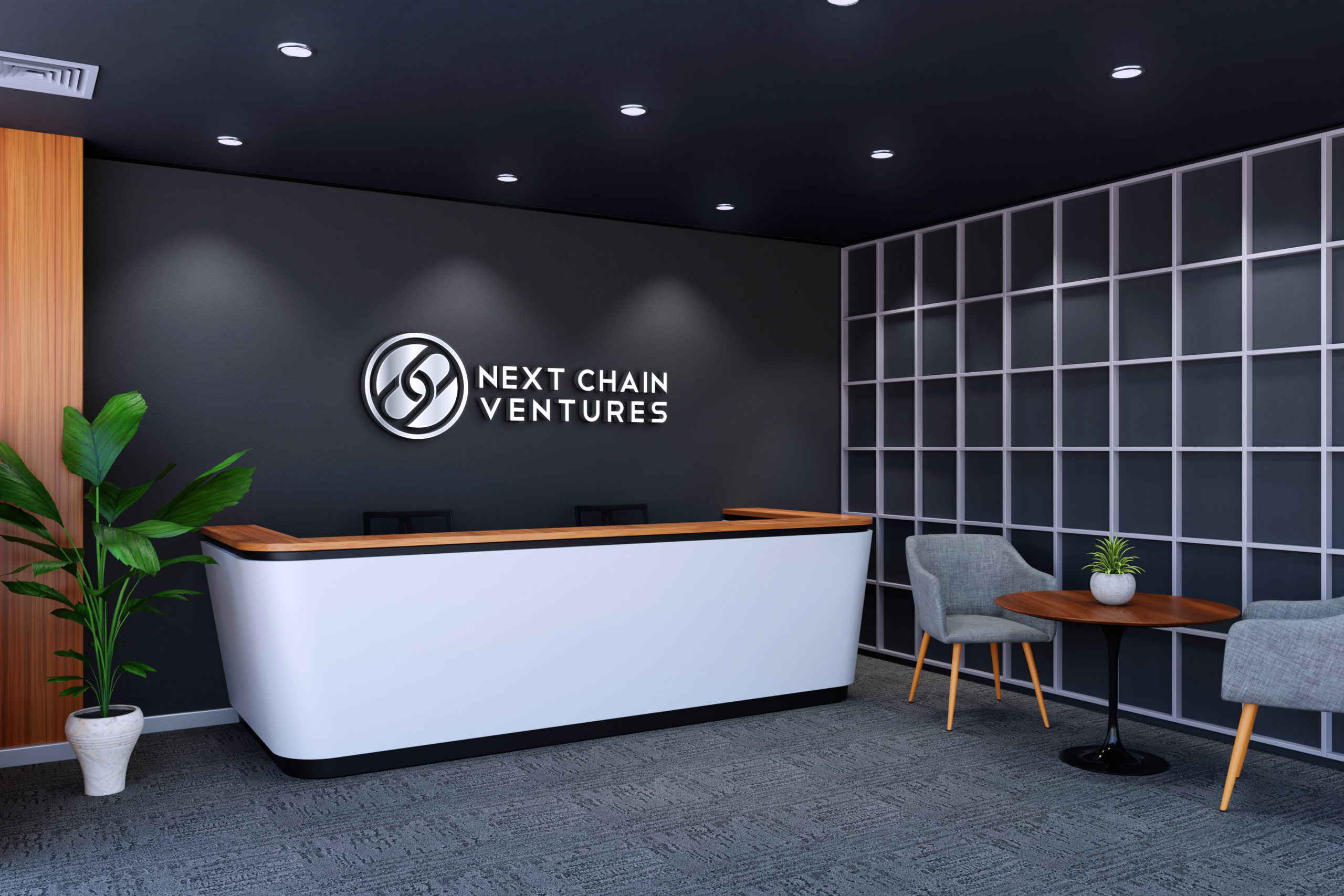 Welcome to Next Chain Ventures – Venture Advisory for Blockchain Companies
